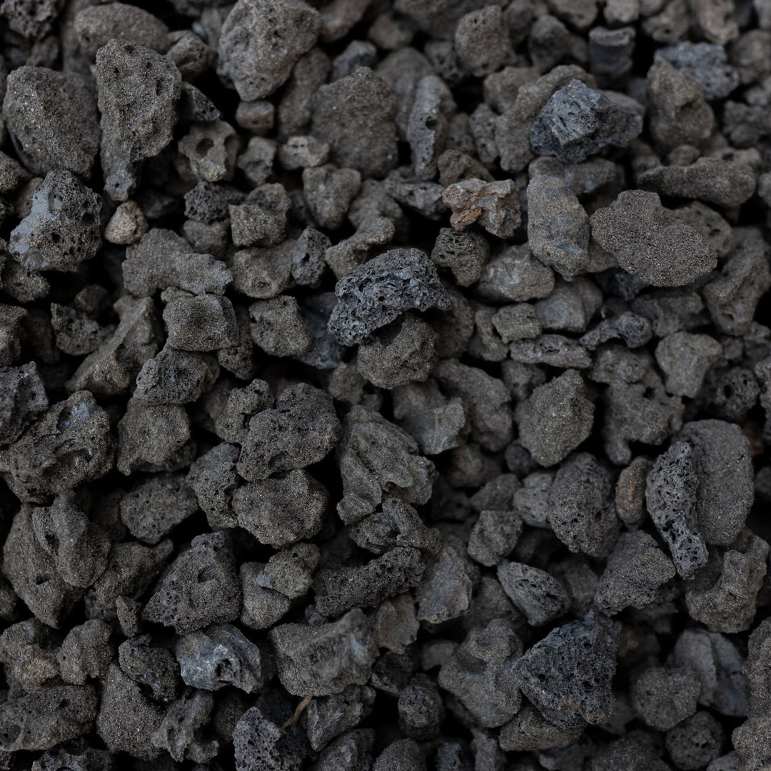 Black Lava Rock