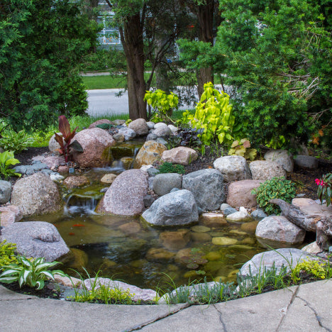 Aquascape® Pond Kits